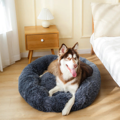 Comfy Calming Dog Bed