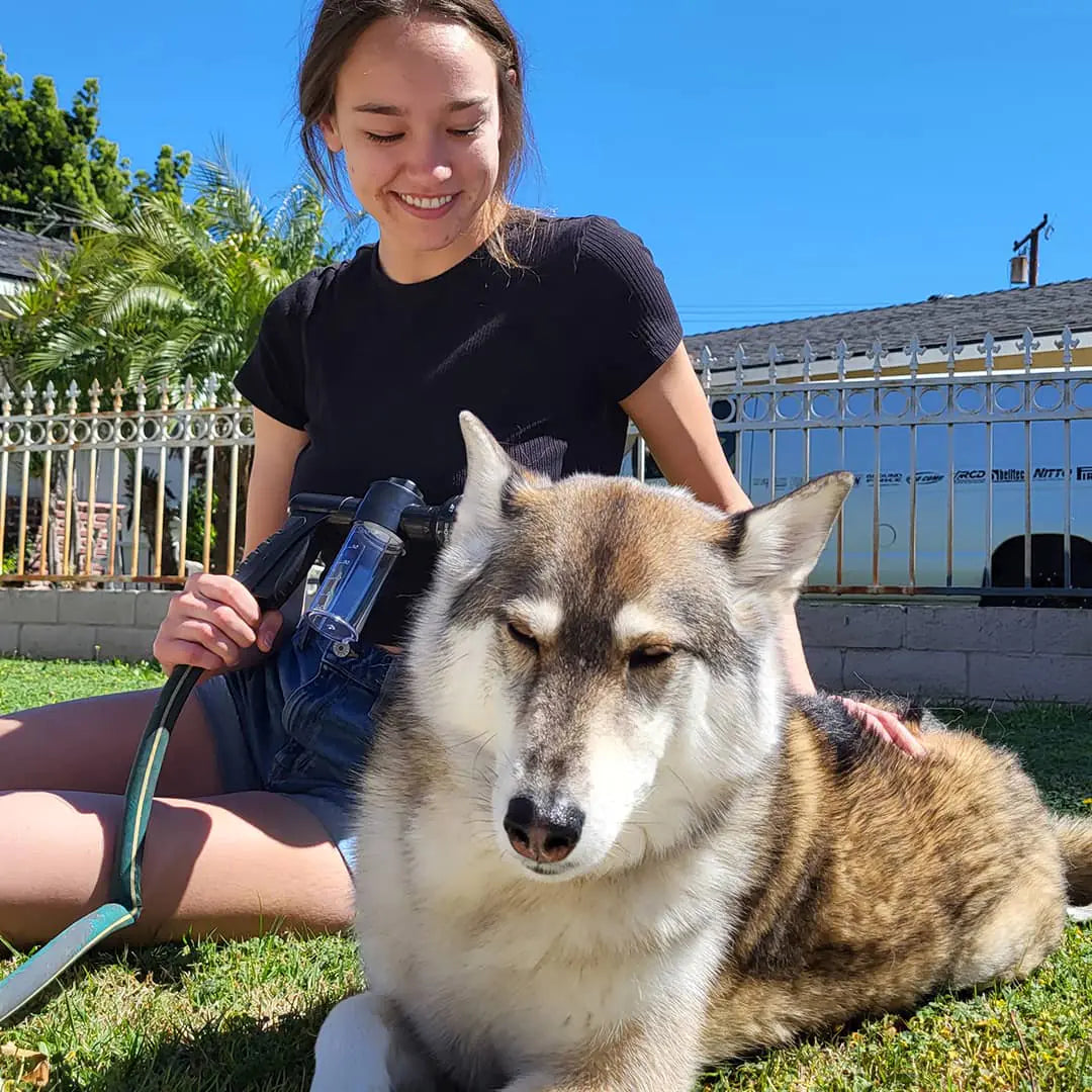 Dog Shower Jet