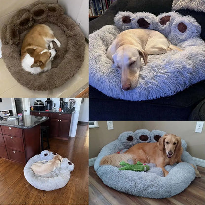 Pet Sofa Beds