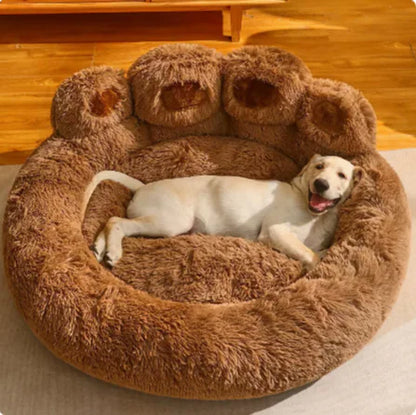 Pet Sofa Beds