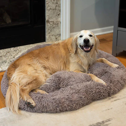 Comfy Calming Dog Bed