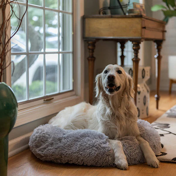 Comfy Calming Dog Bed