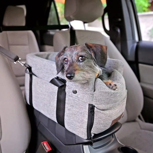 Pet Carpool Seat