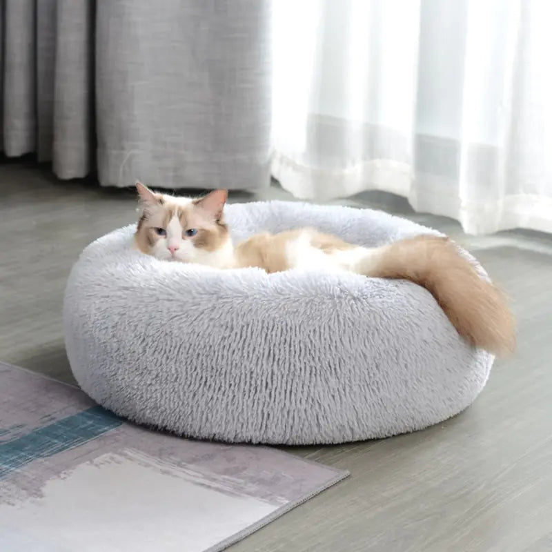 Comfy Calming Dog Bed