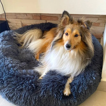 Comfy Calming Dog Bed